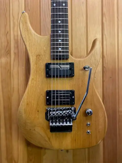 Washburn N2