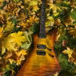Chapman Ghost Fret Pro Concept